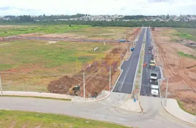 Terreno comercial à venda na Avenida Pineville, Q2 L10, Pineville, Pinhais