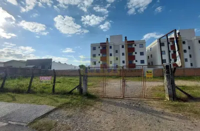 Terreno comercial à venda na Rua Manoel Bandeira, 580, Vargem Grande, Pinhais