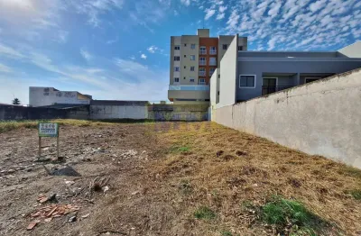 Terreno à venda na Rua Bernardo Ozinski, 133, Pineville, Pinhais