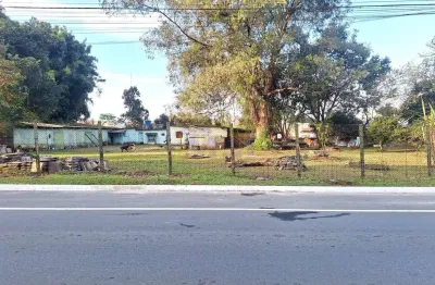 Terreno à venda na Rua República Dominicana, 349, Centro, Pinhais