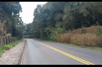 Oportunidade exclusiva para investidores e moradia  – campo largo/pr