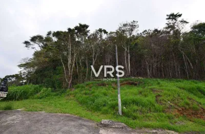 Terreno à venda, 6000 m² por r$ 1.800.000,00 - iucas - teresópolis/rj