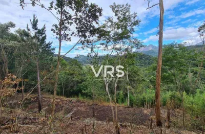 Terreno à venda, 1750 m² por r$ 270.000,00 - albuquerque - teresópolis/rj