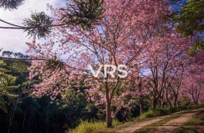 Terreno à venda, 300 m² por r$ 179.900,00 - albuquerque - teresópolis/rj