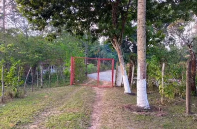Fazenda para Venda em Camaçari, Coqueiros de Monte Gordo (Monte Gordo)