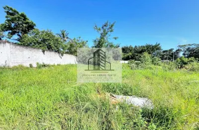 Terreno à venda em itanhaém-sp, bairro jardim coronel, 1.000m² de área!