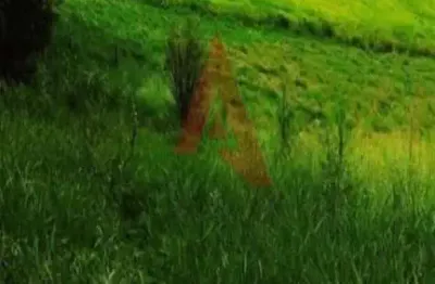 Terreno à venda no Caputera, Arujá 