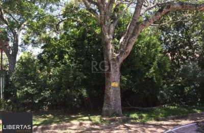 Terreno à venda na Rua Comendador José Júlio de Mello, 142, Teresópolis, Porto Alegre