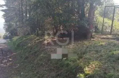 Terreno à venda na Estrada Afonso Lourenço Mariante, 4300, Lomba do Pinheiro, Porto Alegre