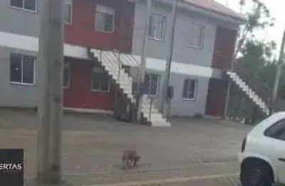 Apartamento com 2 quartos à venda na Estrada Barro Vermelho, 201, Restinga, Porto Alegre