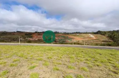 Terreno à venda na Rodovia Paulo Rolin Loureiro, 100, Biritiba Ussu, Mogi das Cruzes