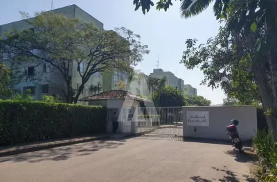 Apartamento com 3 quartos para alugar na Rua Inácio de Oliveira, Itaum, Joinville