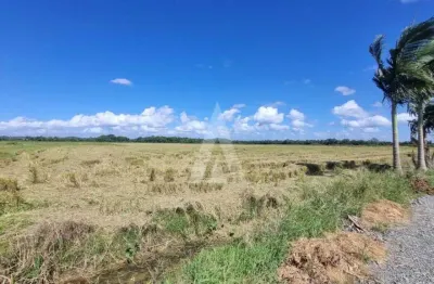 Terreno para alugar por r$ 15000.00, 10000.00 m2 - morro do meio - joinville/sc