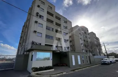 Apartamento novo com 1 quarto, cozinha com armário e sala de estar no bairro jarivatuba.