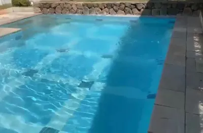 Apartamento para locação no condomínio liverpool – vila olímpia / vila nova conceição