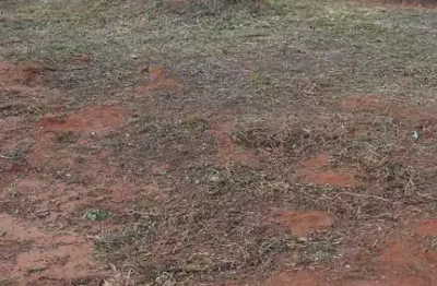 Terreno à venda, 200 m² por r$ 120.000,00 - mais parque - barretos/sp