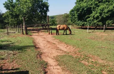 Sítio à venda, 36300 m² por r$ 600.000,00 - ibitu (ibitu) - barretos/sp