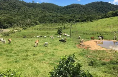 Terreno comercial para alugar no Parque Rio Abaixo, Atibaia 