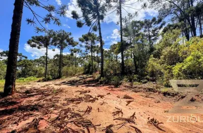 Terreno à venda, 1500 m² por r$ 500.000,00 - alto da boa vista - campos do jordão/sp