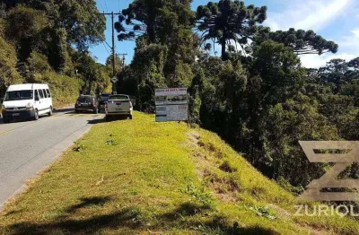 Terreno à venda, 5860 m² por r$ 800.000,00 - morro do elefante - campos do jordão/sp