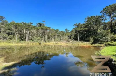 Terreno à venda, 2040 m² por r$ 980.000,00 - horto florestal - campos do jordão/sp
