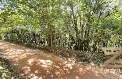 Terreno à venda, 1000 m² por r$ 220.000,00 - vila natal - campos do jordão/sp