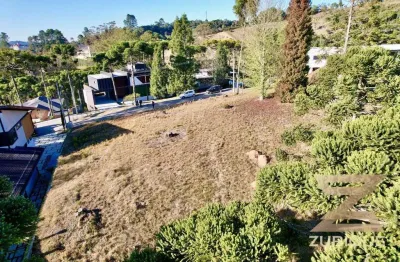 Terreno à venda, 1003 m² por r$ 1.500.000,00 - colinas capivari - campos do jordão/sp