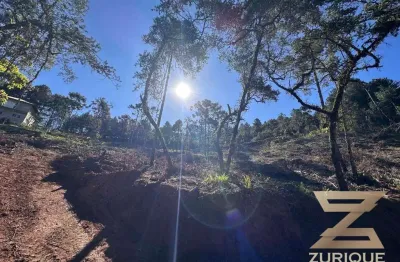 Terreno à venda, 1000 m² por r$ 190.000,00 - jardim três nascentes - campos do jordão/sp