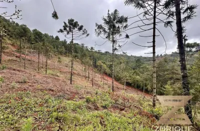 Terreno à venda, 1170 m² por r$ 250.000,00 - jardim europa - campos do jordão/sp