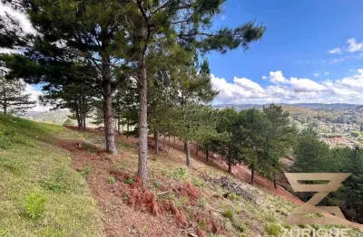 Terreno à venda, 1007 m² por r$ 240.000 - atalaia - campos do jordão/sp