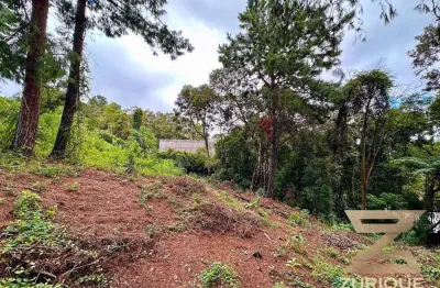 Terreno à venda, 1015 m² por R$ 295.000,00 - V Natal - Campos do Jordão/SP