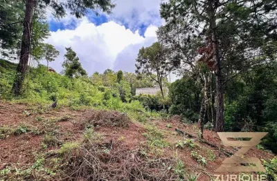 Terreno à venda, 1020 m² por R$ 325.000,00 - Vila Natal - Campos do Jordão/SP