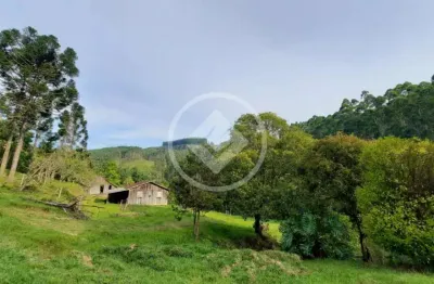 Fazenda à venda na Estrada Geral De Rio Engano, -, Zona Rural, Alfredo Wagner