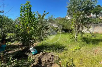 Terreno à venda na Duque De Caxias, 2638, Ipiranga, São José