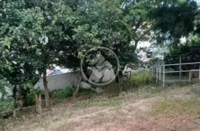 Casa com 5 quartos à venda na Rua Valdemiro Cunha, 180, Forquilhinhas, São José