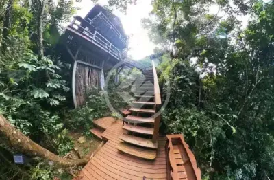 Fazenda à venda na Angelina, 11, Centro, Angelina