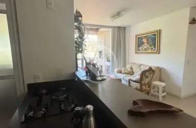 Apartamento com vista para a natureza no córrego grande codigo: 151528