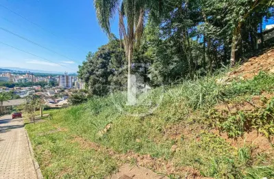 Terreno à venda na Servidão João José de Melo, 170, Córrego Grande, Florianópolis