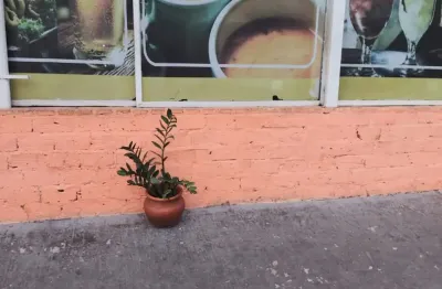 Este salão comercial possui uma área de 250m² e está situado em uma travessa da glicério, uma localização privilegiada próxima a diversos comércios.