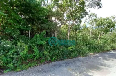Terreno à venda, 1000 m² por r$ 300.000,00 - vale dos sonhos - lagoa santa/mg