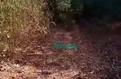 Terreno à venda, 10000 m² por r$ 300.000,00 - curralinho - jaboticatubas/mg