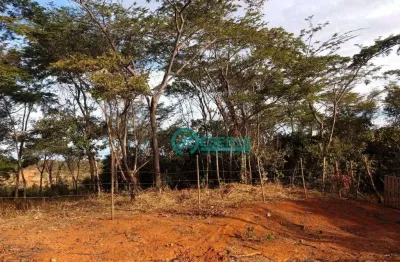 Terreno à venda, 1000 m² por r$ 260.000,00 - shalimar - lagoa santa/mg