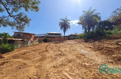 Terreno à venda, 1000 m² por r$ 250.000,00 - sobradinho - lagoa santa/mg