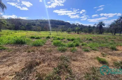 Terreno à venda, 1000 m² por r$ 245.000,00 - condomínio versailles ville de france - lagoa santa/mg