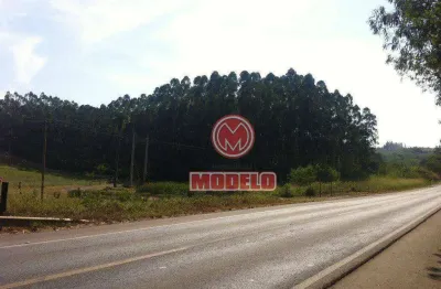 Área à venda, 90000 m² por r$ 3.600.000,00 - santa luzia - charqueada/sp