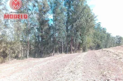 Sítio com 3 dormitórios à venda, 1064800 m² por r$ 9.000.000,00 - santa luzia - charqueada/sp