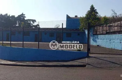 Terreno para alugar, 297 m² por r$ 2.500,00/mês - vila pacaembu - piracicaba/sp