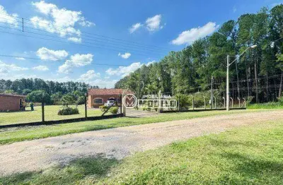 Chácara com 2 dormitórios à venda, 5000 m² por r$ 1.000.000,00 - aguas de sao pedro - são pedro/sp