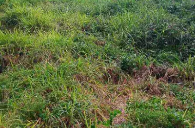 Terreno em condomínio fechado à venda na Estrada da Roselândia, Centro, Cotia