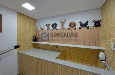 Apartamento com 2 quartos à venda na rua joão ribeiro, campestre, santo andré, 65 m2 por r$ 688.500